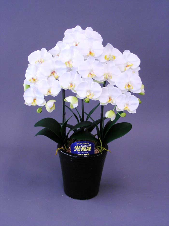 【本物のような造花】☆夢見鳥蘭産業光触媒☆抗菌決定づける・消臭成り行きがある光触媒の造花でお御部屋の空気の状態を口さかしいに♪夢見鳥蘭産業光触媒Ｍ３本立ち