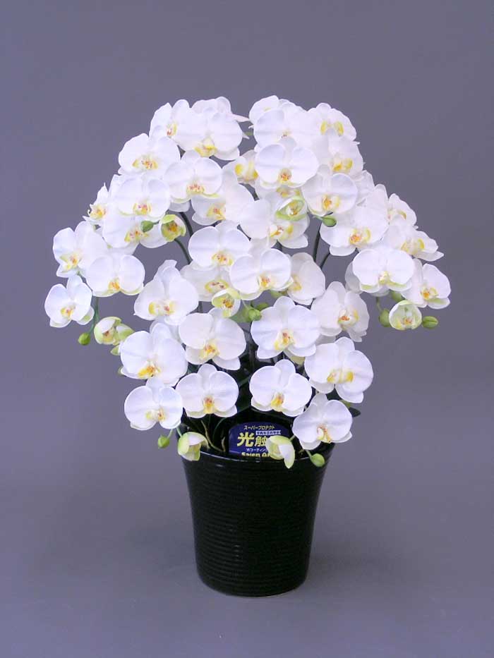 【本物のような造花】☆夢見鳥蘭工業光触媒Ｍ７本立ち☆抗菌働き掛ける・消臭成り行きがある光触媒の造花でおお座敷の空気の状態を口さかしいに♪夢見鳥蘭工業光触媒