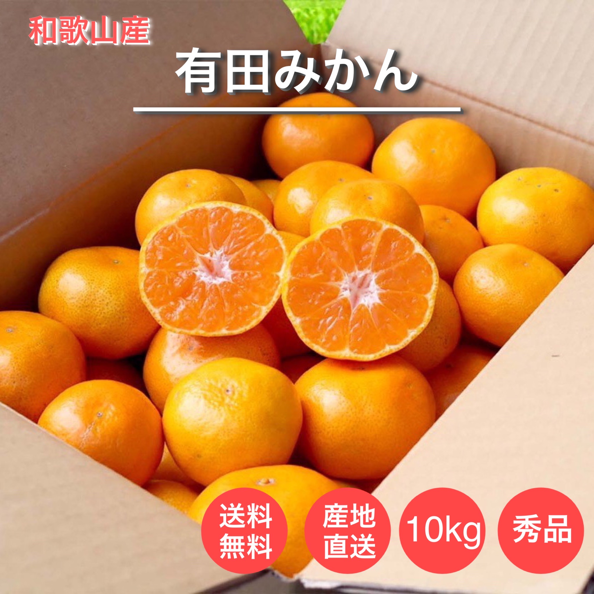 和歌山県産　大きめサイズ混合清見オレンジ　10kg