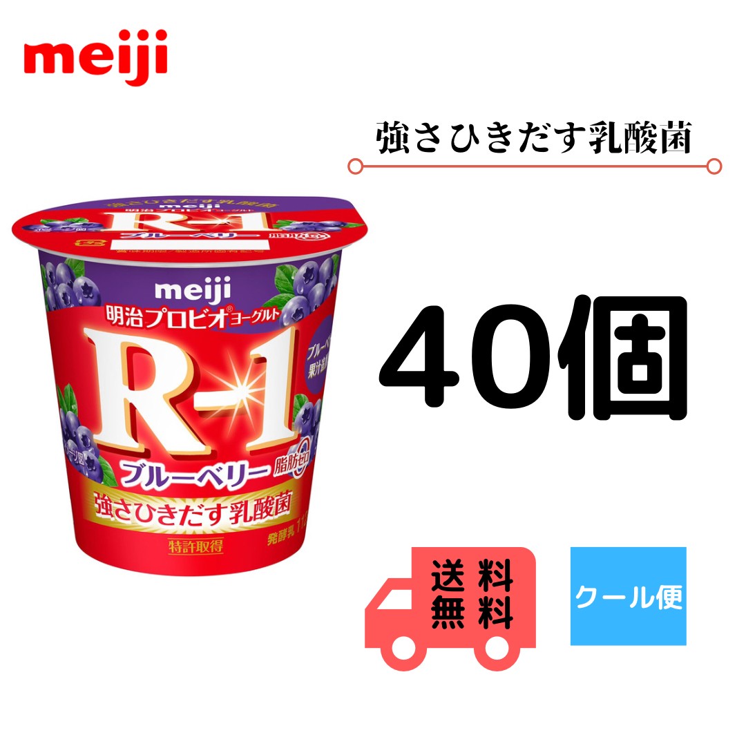 明治 R 1 食べるタイプ ブルーベリー脂肪0 112g 40個 クール便 健康 乳酸菌 乳飲料 乳製品 送料無料ヨーグルト 強さ引き出す 低糖 低カロリー 免疫力アップ 人気 ブルーベリー味 R1 Thelighthousemanagement Com