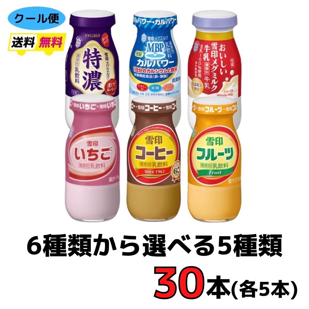 オープニング大放出セール 雪印 メグミルク おいしい雪印メグミルク牛乳 200ml×24本入 2ケース クール便 紙パック 送料無料 〔雪印 乳製品  ミルク MILK〕