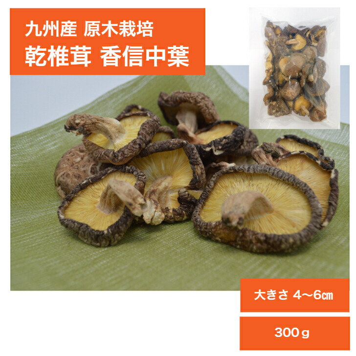 九州産 原木栽培乾椎茸 香信中葉300g【干しいたけ 干ししいたけ 干し椎茸 乾椎茸 乾し椎茸 乾ししいたけ 乾燥椎茸 乾燥しいたけ 乾しいたけ 原木しいたけ 原木椎茸 椎茸原木 椎茸 しいたけ シイタケ 大容量 国産 大分産 宮崎産 熊本産 鹿児島産】