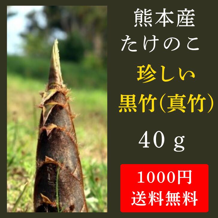 たけのこ。 楽天市場】【乾物】穂付き筍〈ホツキタケノコ〉1パック、1Kg