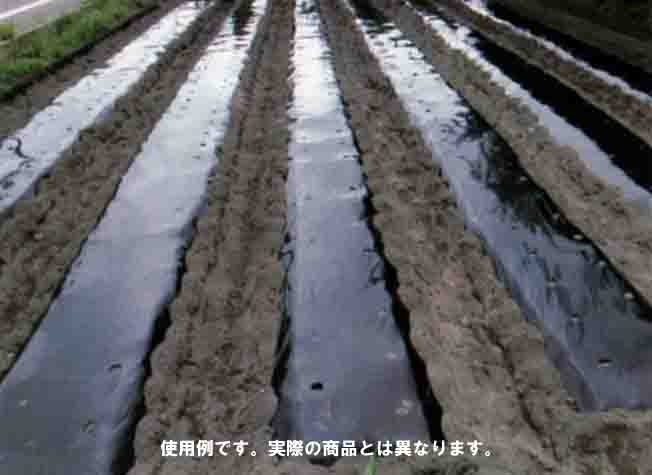 楽天市場】穴あき 黒マルチ厚さ0.02mm x 幅95cm x 長さ50m株間30cm 条