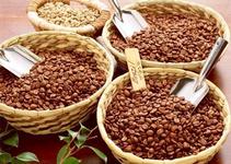 【送料無料】ホンジュラス400g 珈嗜園ブレンド400g ブラジルサントス400g コロンビア400g アイスコーヒー エスプレッソ用400g いざ行け　タイガース スペシャルコーヒー豆　福袋　。　すっぱくない 苦旨　北海道沖縄はメール便送料無料です。 10,800円