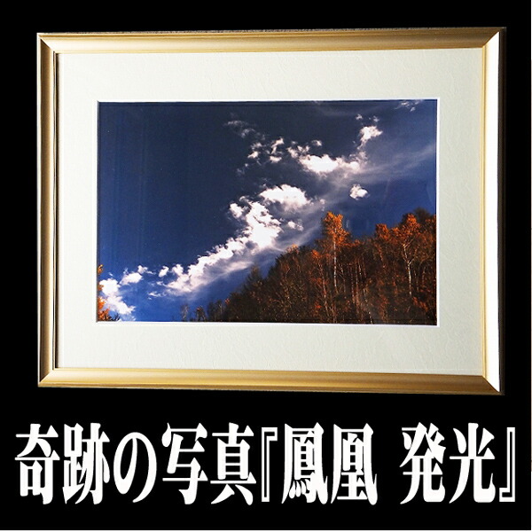 【すぐに使える10％OFFクーポン】開運フォト 奇跡の写真 『鳳凰（発光）』【送料無料】 ご自身の開運以外に贈答品としてもオススメ！