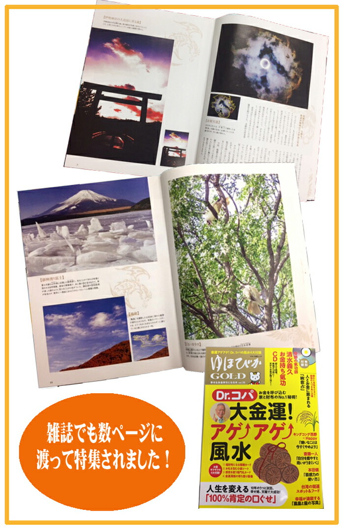 人気デザイナー 開運フォト 奇跡の写真 伊勢神宮の大鳥居に龍が昇る ご自身の開運以外に贈答品としてもオススメ 1oficioverde Com Br
