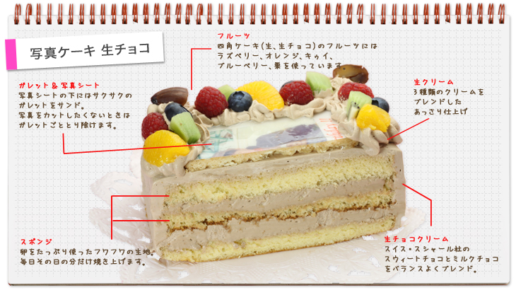 のため 評論家 権利を与える プリント ケーキ 通販 安い Katorisalon Jp