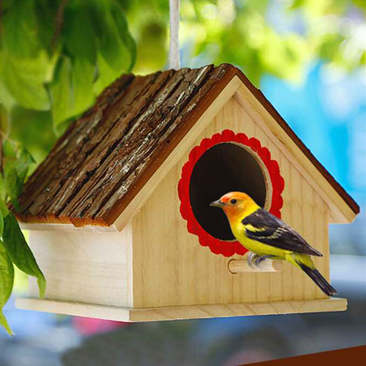 楽天市場 巣箱 野鳥 観察 鳥 巣 設置 小鳥 鳥かご バードハウス 庭 インコ ケージ ハウス いいひ 楽天市場店
