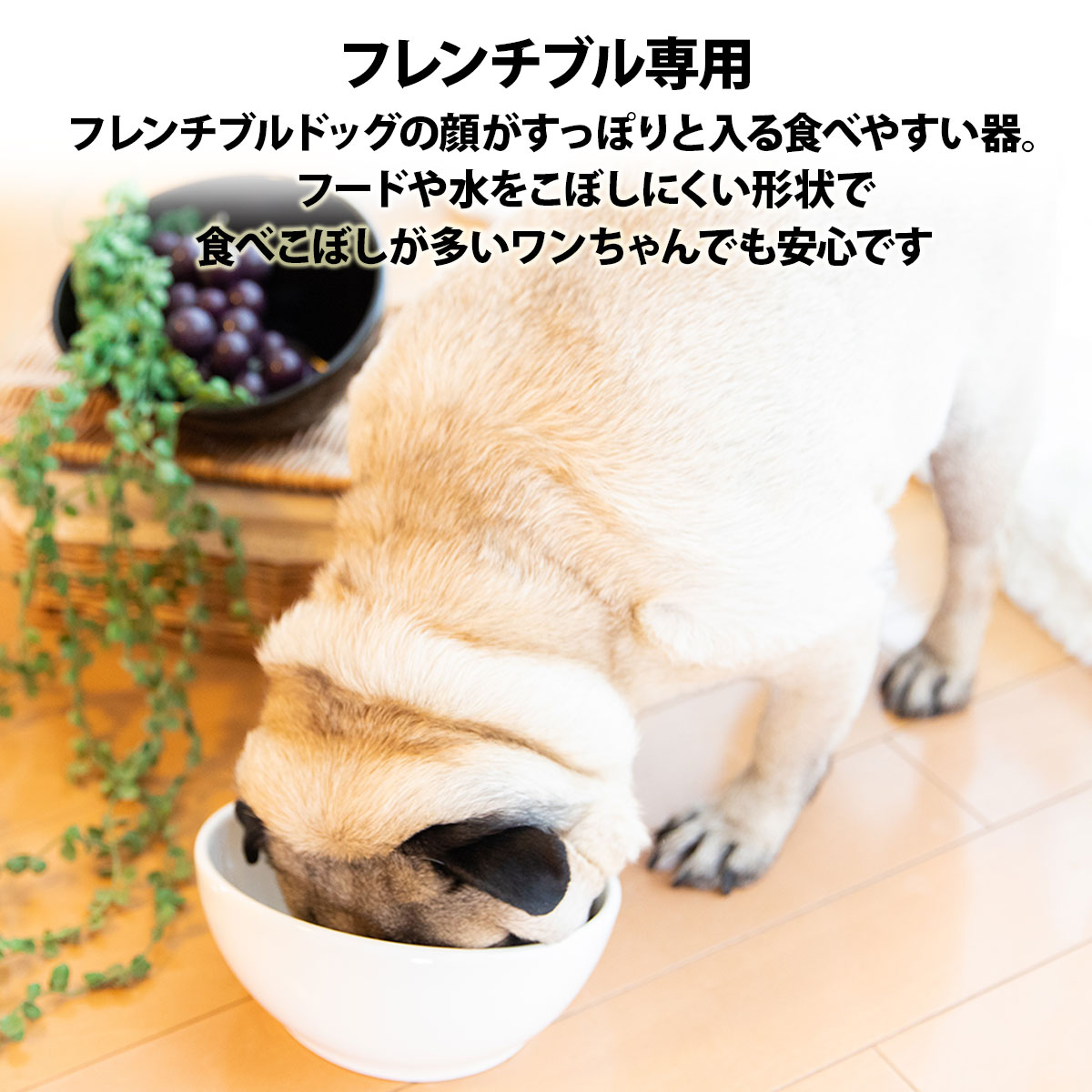 犬 食器 陶器 犬用 犬用品 食事 皿 いぬ ブルドッグ パグ フレブル