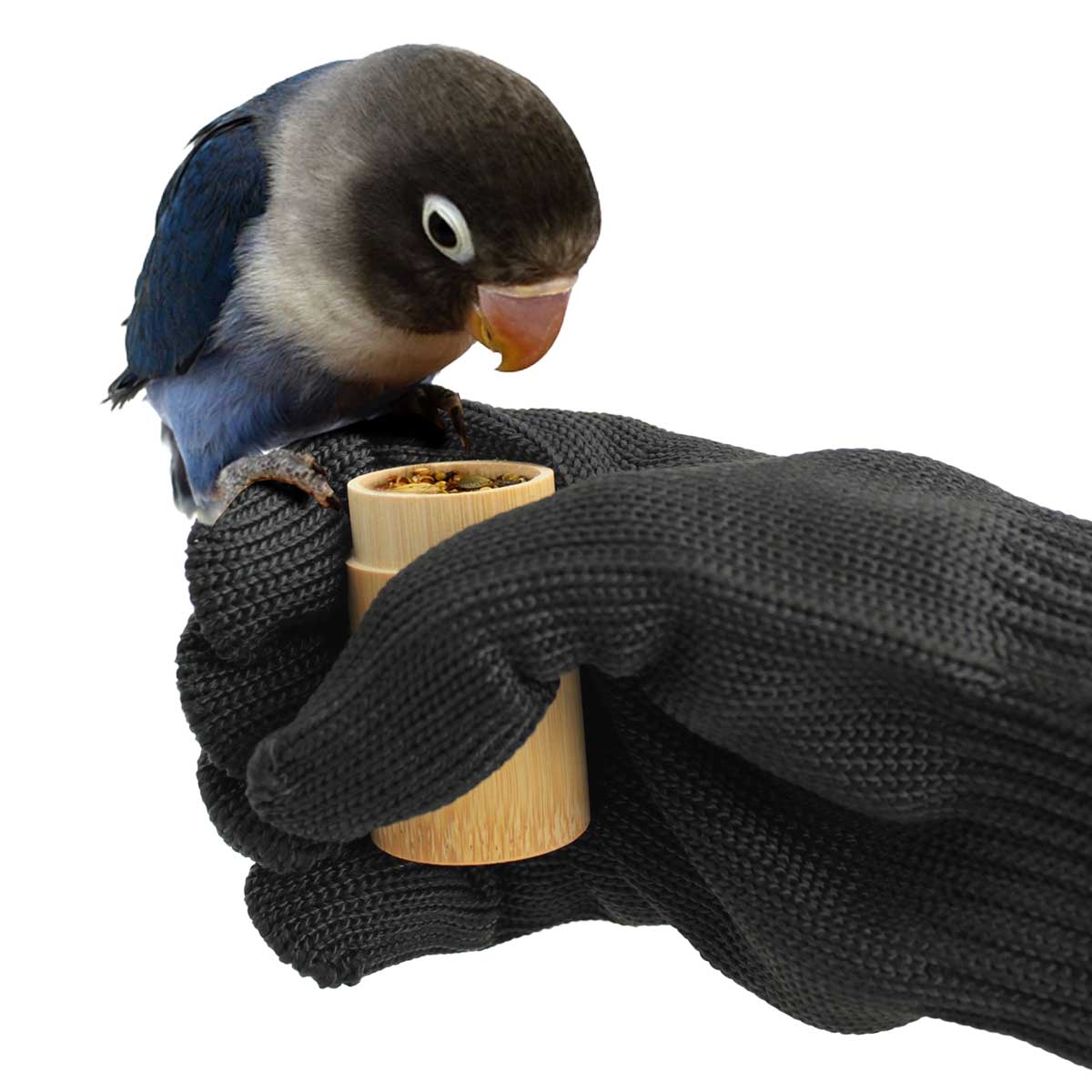 市場 2点セット 文鳥 餌入れ エサ入れ インコ オウム えさ入れ 市場 2点セット 文鳥 餌入れ エサ入れ インコ オウム えさ入れ