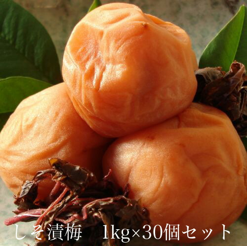 しそ漬梅1kg × 30個セット