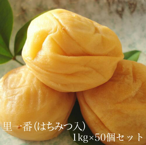 里一番(はちみつ入)1kg × 50個セット 【和歌山県産】 【10P03Aug09】
