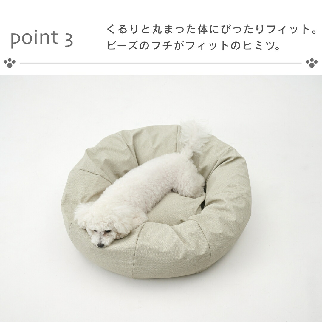 kotetsuページです。 価格の安いMIX（マルチーズ×Tプードル）♀ / ペットショップ