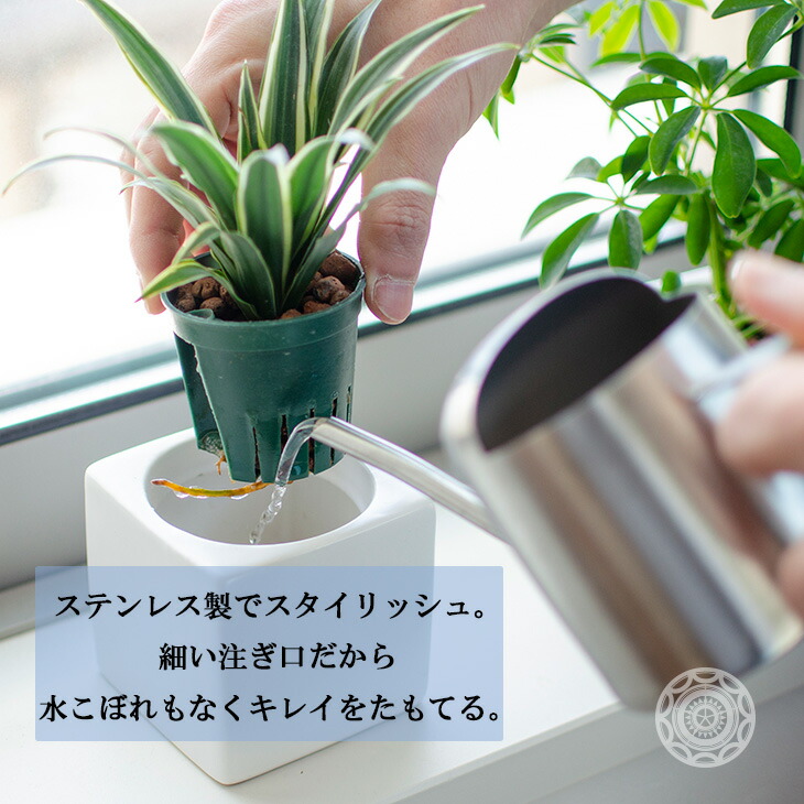 観葉植物おしゃれ小さい大型吊り下げハイドロカルチャー鉢カバー土パキラポトスモンステラウンベラータグリーンネックレスサンスベリアフィカスベンガレンシスカラテアガジュマルディスキディアコケ玉コウモリランビカクシダハンギングじょうろ