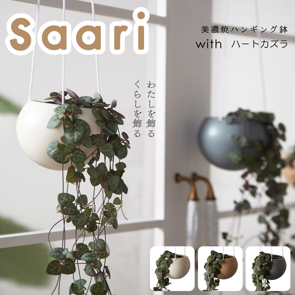 楽天市場 観葉植物 多肉植物 Saari 鉢 カバー 吊り 下げ おしゃれ ハンギングプランター ハートカズラ 吊り下げ ミニ セット 土 小さい 北欧 インテリア 開店祝 新築祝 引っ越し祝 育てやすい 壁掛け かわいい ミニ観葉植物 コテラ 母の日 Koteraグリーンと