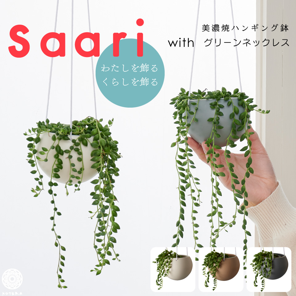 楽天市場 観葉植物 小さい 吊り下げ 鉢 おしゃれ Saari グリーンネックレス ハンギングプランター ミニ セット 土 小さい 北欧 インテリア 開店祝 新築祝 引っ越し祝 多肉植物 壁掛け ミニ観葉植物 コテラ Koteraグリーンとインテリアのお店