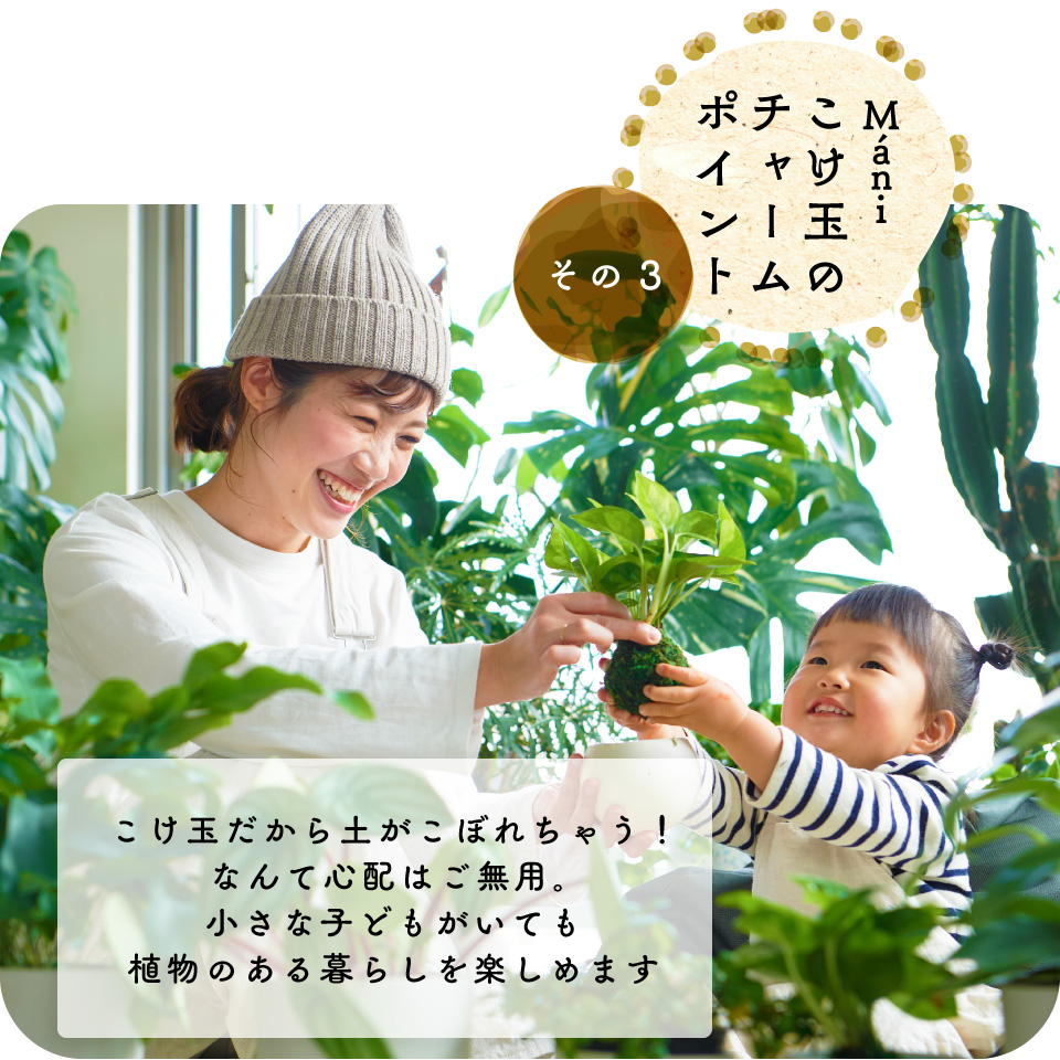 選べる2点セット 苔玉 M Ni マーニ 観葉植物 ポトス グローバルグリーン エンジョイ コケ玉 こけだま 鉢 カバー 吊り 下げ おしゃれ ハンギング 棚 ミニ セット 小さい 北欧 インテリア 開店祝 新築祝 引っ越し祝 育てやすい 壁掛け かわいい コテラ Butlerchimneys Com