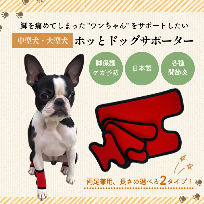 楽天市場】【anifull 公式】 アニサポ キック (手首・足首