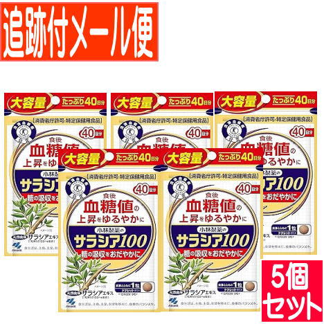 【5個セット】サラシア１００（１２０粒入）小林製薬サプリ【メール便送料無料/5個セット】