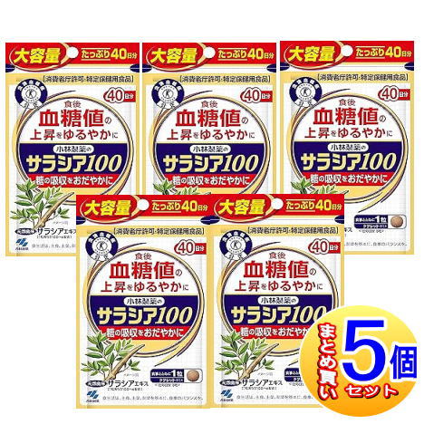 【5個セット】サラシア１００（１２０粒入）小林製薬サプリ【小型宅配便】