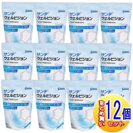 【12個セット】サンテ ウェルビジョン 60粒×12個 参天製薬【小型宅配便】|健康通販