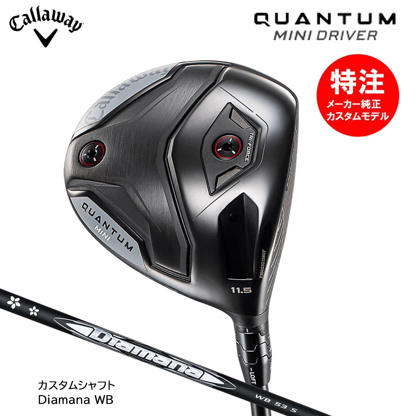離れ離れ中引き換え証商品目録