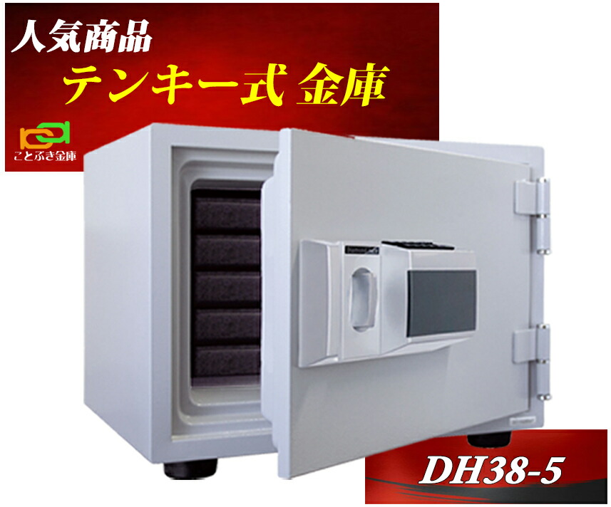 年間ランキング6年連続受賞】 金庫 小型 家庭用 テンキー式 耐火金庫 DS23-EK ダイヤセーフ 安い おしゃれ おすすめ 防犯 1時間耐火  discoversvg.com