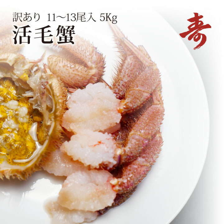 送料無料 毛ガニ カニ 訳あり 5kg 前後 11～13尾 北海道産 冷蔵 毛がに 蟹 活蟹 刺し身 活茹で選択可｜毛がにの寿水産