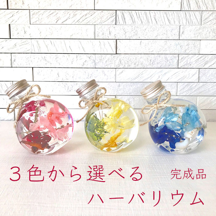 楽天市場 ハーバリウム 母の日 ギフト 丸瓶 3色 完成品 レッド グリーン ブルー 高さ9cm 3色 丸瓶 完成品 Hz Kotohana 楽天市場 ハーバリウム 母の日 ギフト 丸瓶 3色 完成品 レッド グリーン ブルー 高さ9cm 3色 丸瓶 完成品 Hz Kotohana
