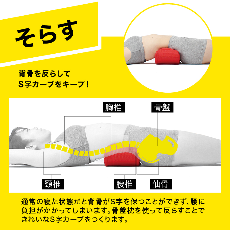 福辻式 寝ながら骨盤シェイプ枕 Dx 骨盤枕 骨盤補正 腰 骨盤 枕 ダイエット クッション ストレッチ ストレッチャー 指圧 骨盤矯正 引き締め 矯正 補整 器具 エクササイズ 骨盤用 筋膜 父の日 ギフト Cooltonindia Com