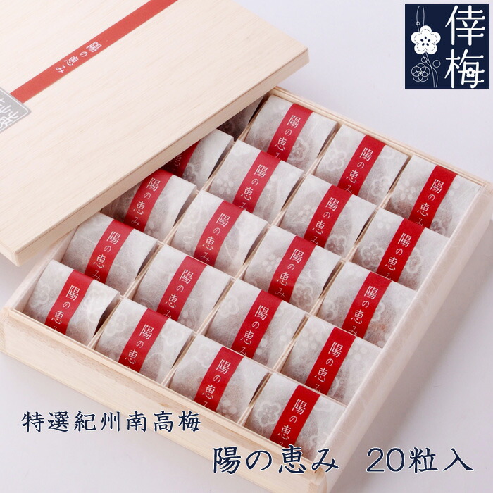 特選紀州南高梅　陽の恵み（個包装）　２０粒入<br>【和歌山県産】【梅干し】【楽ギフ_包装】【楽ギフ_のし宛書】【ギフト】