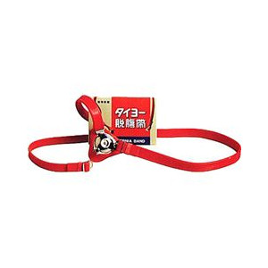 【今日このごろ尖んがり4倍好いかげんに】株式会社お日さま診療品製造所タイヨーヘルニア帯E号【RCP】