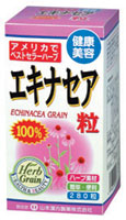 【本日ポイント4倍相当】山本漢方製薬株式会社 エキナセア粒100% 280粒×5個セット【RCP】