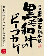 【本日ポイント4倍相当】元祖三田屋総本家 黒毛和牛のビーフカレー 三田屋仕立て210g×10個 【食品】 (商品発送まで6-10日間程度かかります)【RCP】