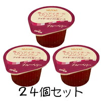 【本日ポイント4倍相当】ニュートリー株式会社 アイオール用ソースセレクション　ブルーベリー味　24個入&times;12袋セット(介護食)【商品到着までに5日前後かかる場合がございます・この商品は御注文後のキャンセルができません】｜神戸たんぽぽ薬房 10,770円