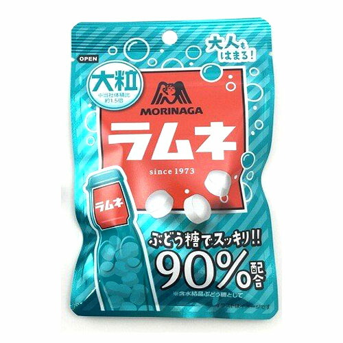 森永製菓株式会社大粒サイダー 41g 1個凝固 北海道 沖縄は別途送料義務的 Vnmsport Com