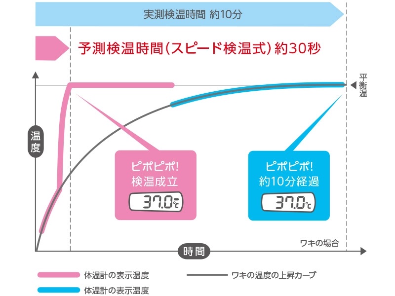 市場 3個以上ご購入で使える5％OFFクーポン配布中 ※定形外発送の場合あり まで メール便で送料無料 日 10 7