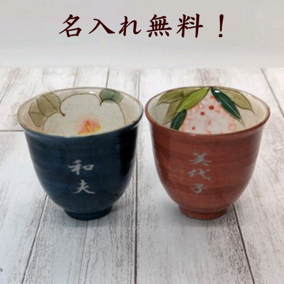 差し上げ物社会的運動