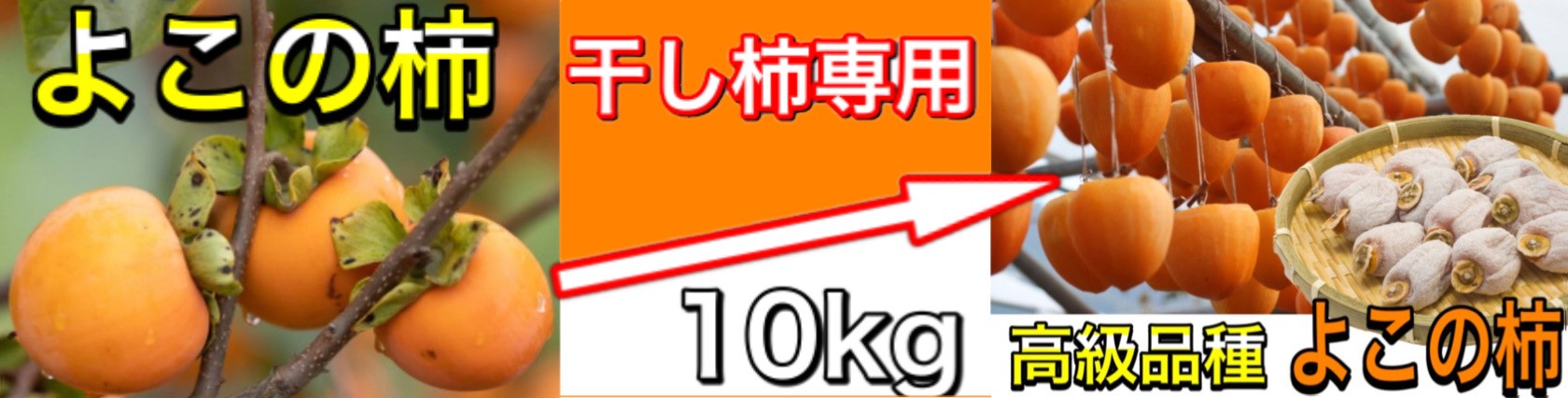 楽天市場】文旦 土佐文旦 特大5Lサイズ 大玉 限定 ご家庭用 10kg 高知