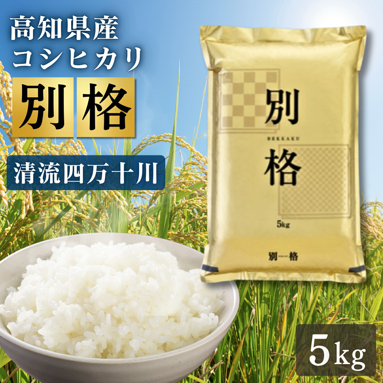 楽天市場】米 令和7年産 新米 お米 10kg (5kg×2袋) 高知県産