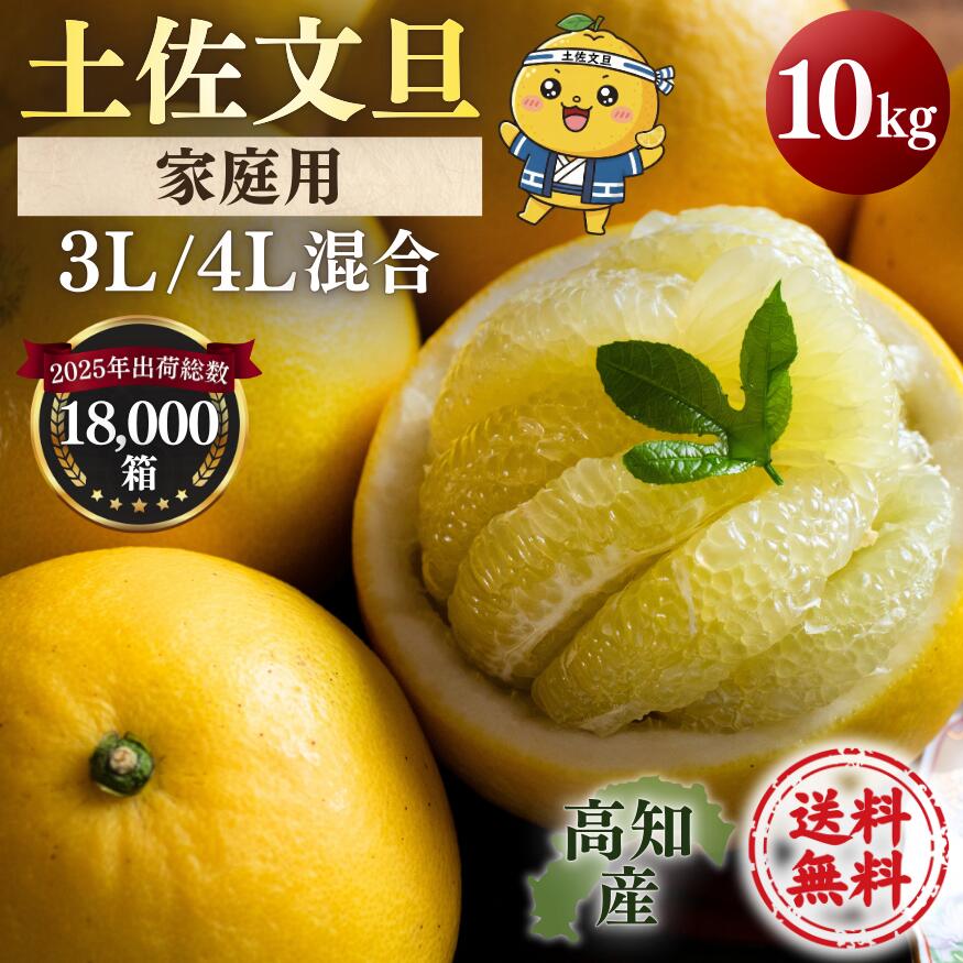 楽天市場】割引クーポン付 10kg 超大玉3L~5L 宿毛文旦（土佐文旦） JA