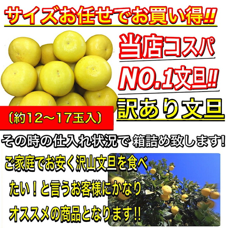 全国一律送料無料高知県産土佐文旦6キロ、即購入OK 果物