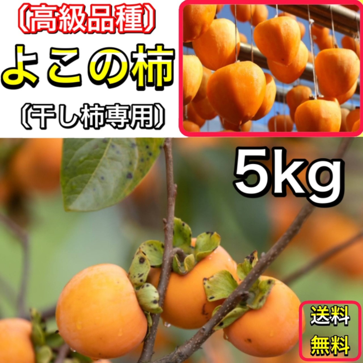 【楽天市場】柿 かき あたご柿 (愛宕柿) 愛媛 丹原産 干し柿 用 渋柿 約 5kg 枝付渋柿 干し柿 つるし柿 あんぽ柿 さらし柿用  【11月中旬以降 ご注文順に発送】 : 高知土佐文旦のお店よさ来い