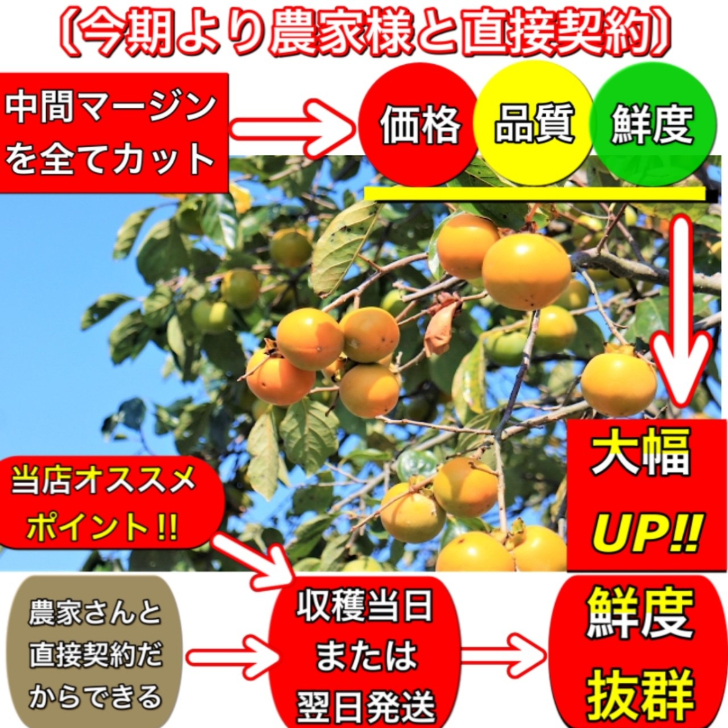 最大56％オフ！ 柿 かき あたご柿 愛宕柿 愛媛県 丹原産 干し柿 用 渋柿 メガ盛約 20kg 枝付渋柿 つるし柿 あんぽ柿 さらし柿用  somaticaeducar.com.br