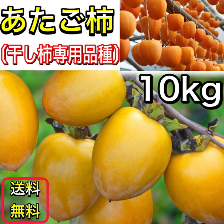 楽天市場】柿 かき あたご柿 (愛宕柿) 愛媛県 丹原産 干し柿 用 渋柿