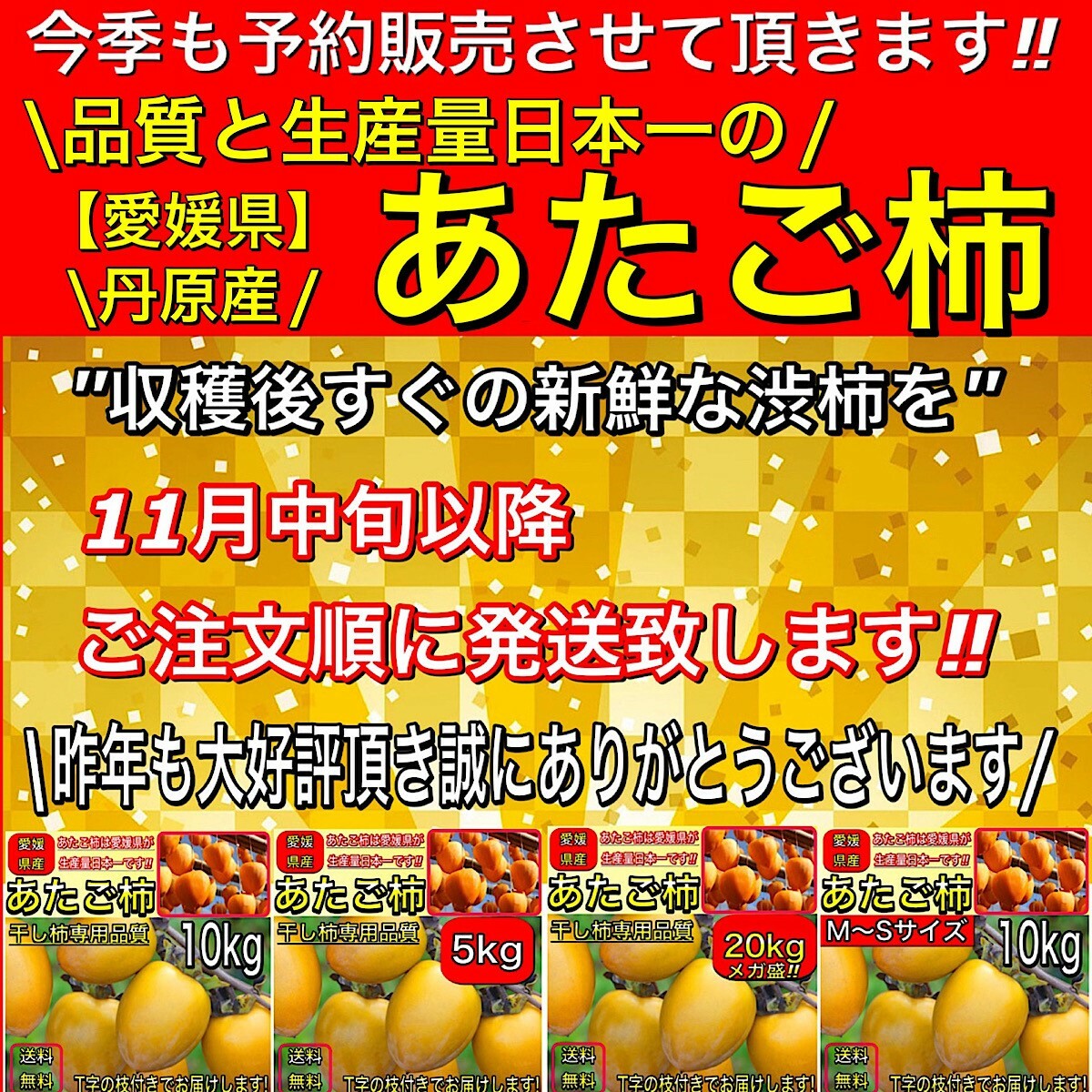 最大56％オフ！ 柿 かき あたご柿 愛宕柿 愛媛県 丹原産 干し柿 用 渋柿 メガ盛約 20kg 枝付渋柿 つるし柿 あんぽ柿 さらし柿用  somaticaeducar.com.br