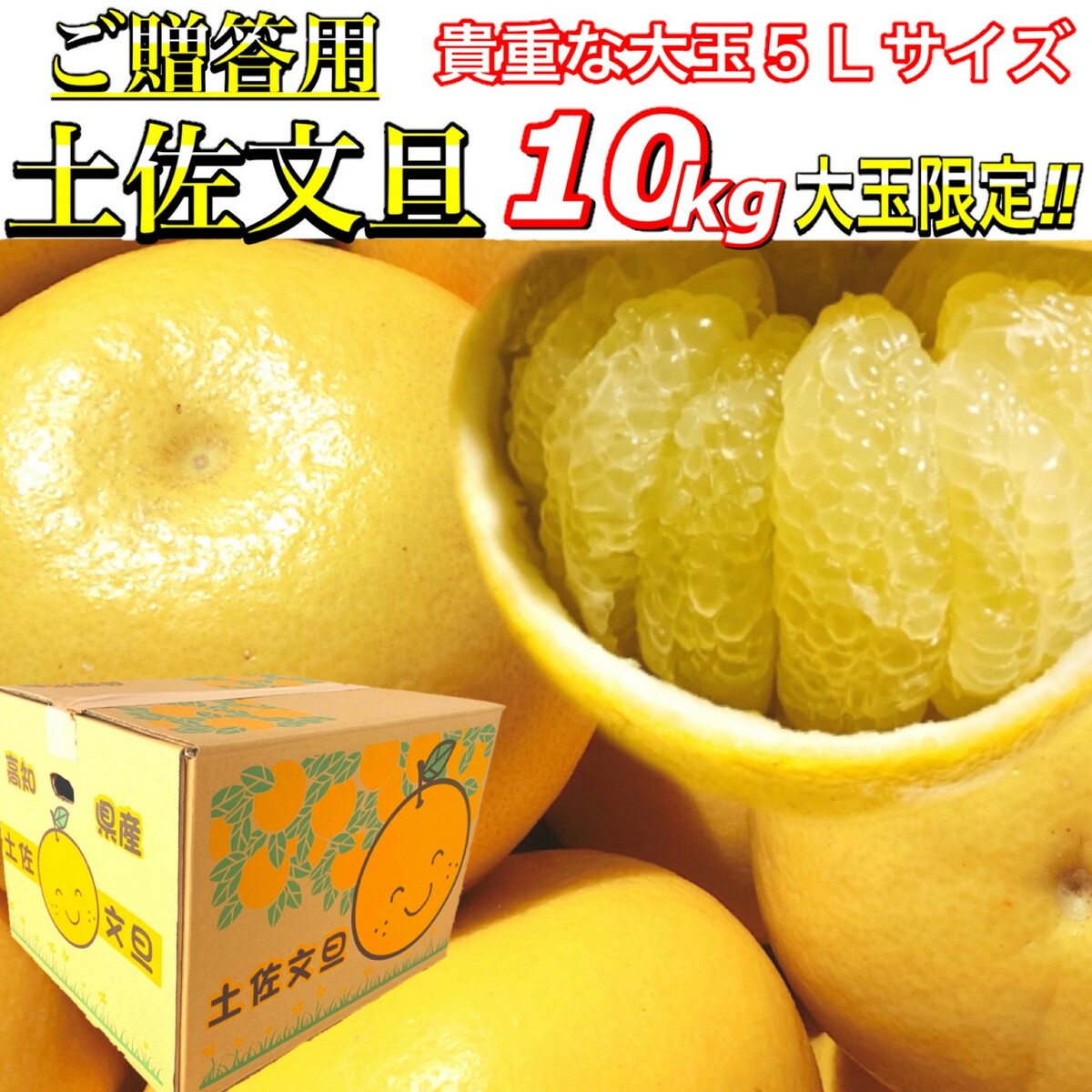 mihi様専用)高知土佐文旦(貴重な特大５Lサイズ) 10kg ×2箱の+