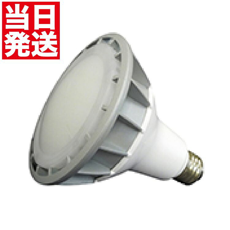 桜井 LEDランプ ARC PAR38 6500K PR38D65E26 PR38D27 E26 防水 アルミ カラー 入力 電圧 消費 電力 放熱 電源 水銀灯 代替 ledランプ 屋外照明 LED 白 ledライト ledスポットライトe26 屋外LEDライト led スポットライト 電球 屋外 防犯ライト 防犯照明 防犯 led照明 E26口金