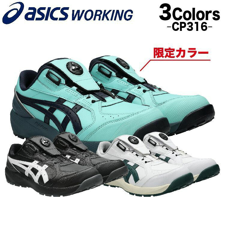 cp316_s_1c.jpg
